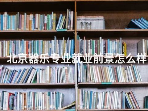 北京器樂專業就業前景怎么樣(圖1) 北京器樂專業就業前景怎么樣(圖1)