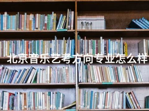 北京音乐艺考方向专业怎么样