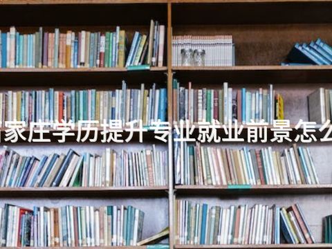 石家庄学历提升专业就业前景怎么样