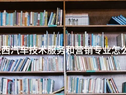 陕西汽车技术服务和营销专业怎么样