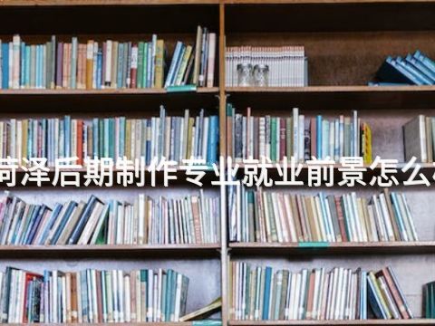 菏泽后期制作专业就业前景怎么样