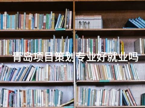 青島項目策劃專業(yè)好就業(yè)嗎