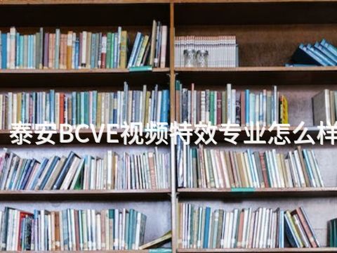 泰安BCVE视频特效专业怎么样