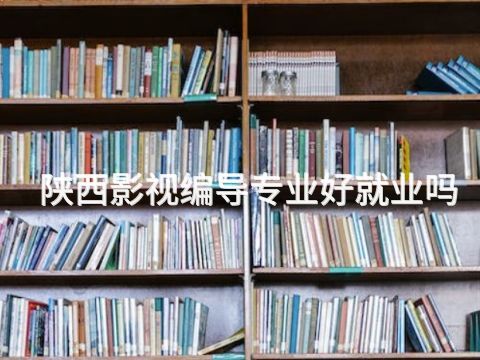 陕西影视编导专业好就业吗