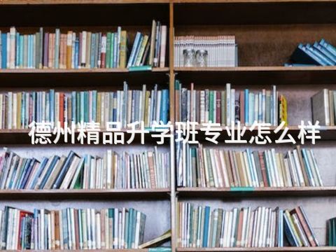 德州精品升学班专业怎么样