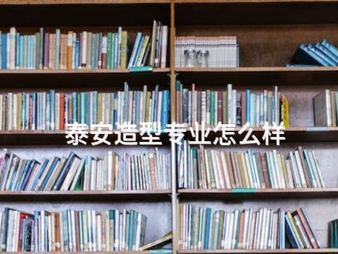 泰安造型专业怎么样(图1) 泰安造型专业怎么样(图1)