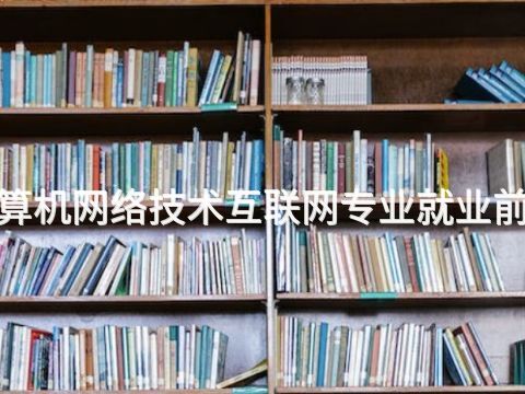 东营"计算机网络技术互联网专业就业前景怎么样