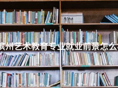 滨州艺术教育专业就业前景怎么样