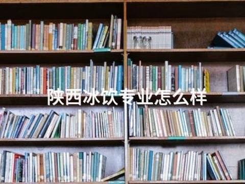 陕西冰饮专业怎么样