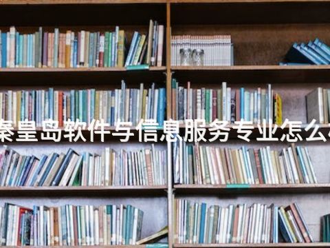 秦皇岛软件与信息服务专业怎么样