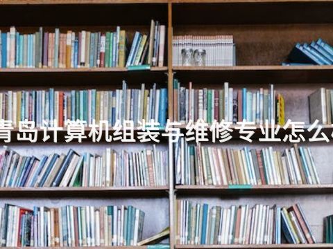 青岛计算机组装与维修专业怎么样