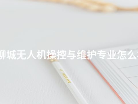 聊城无人机操控与维护专业怎么样(图1) 聊城无人机操控与维护专业怎么样(图1)
