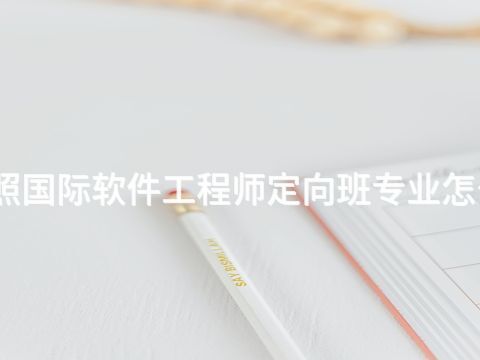 日照国际软件工程师定向班专业怎么样