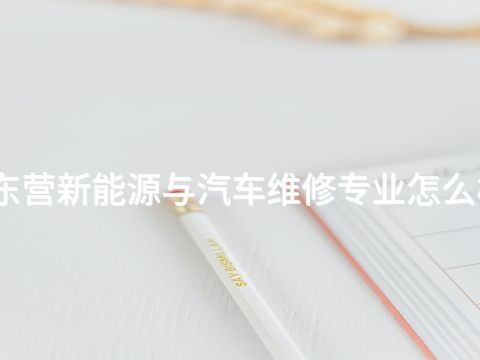 东营新能源与汽车维修专业怎么样