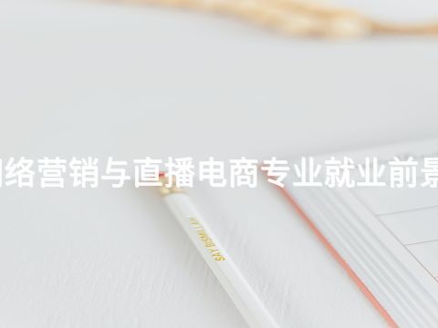 邯鄲網(wǎng)絡(luò)營銷與直播電商專業(yè)就業(yè)前景怎么樣
