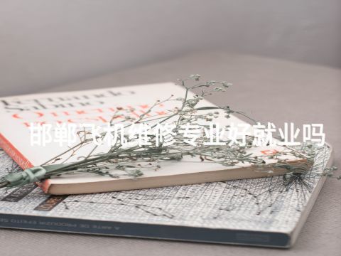 邯郸飞机维修专业好就业吗(图1) 邯郸飞机维修专业好就业吗(图1)