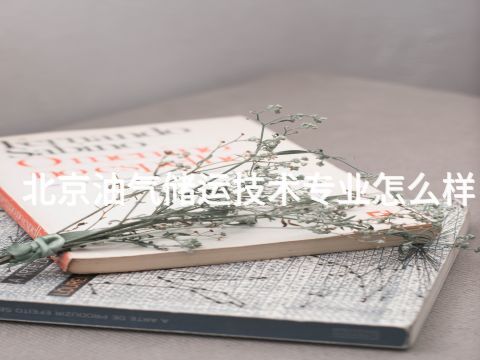 北京油气储运技术专业怎么样