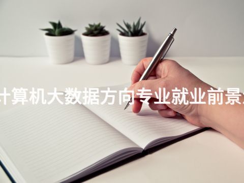 洛阳计算机大数据方向专业就业前景怎么样(图1)