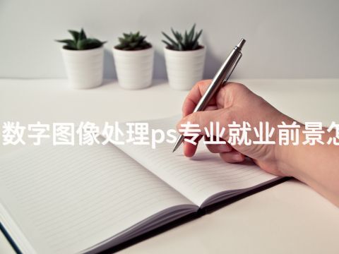 青島數(shù)字圖像處理ps專業(yè)就業(yè)前景怎么樣