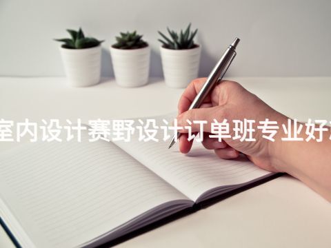 河南室内设计赛野设计订单班专业好就业吗