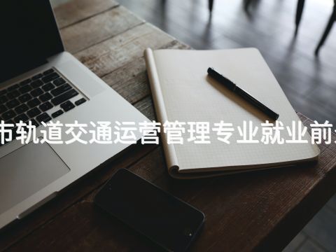 德州城市軌道交通運(yùn)營管理專業(yè)就業(yè)前景怎么樣(圖1) 德州城市軌道交通運(yùn)營管理專業(yè)就業(yè)前景怎么樣(圖1)