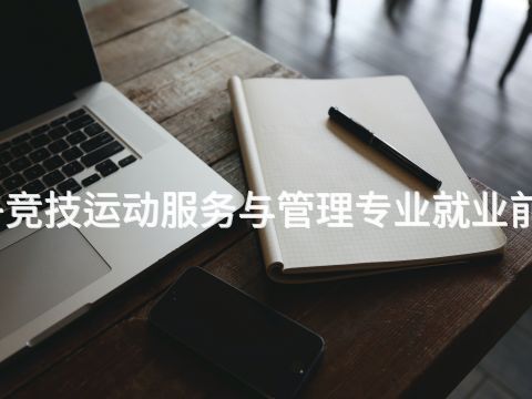 北京电子竞技运动服务与管理专业就业前景怎么样