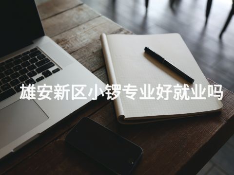 雄安新区小锣专业好就业吗(图1) 雄安新区小锣专业好就业吗(图1)