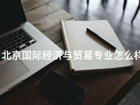 北京国际经济与贸易专业怎么样