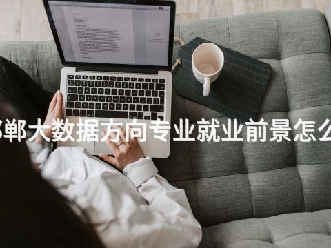 邯郸大数据方向专业就业前景怎么样(图1) 邯郸大数据方向专业就业前景怎么样(图1)