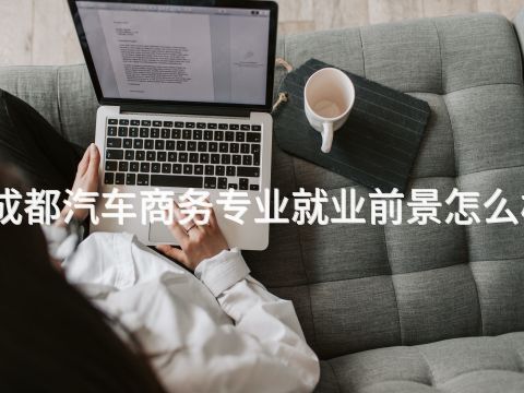 成都汽车商务专业就业前景怎么样