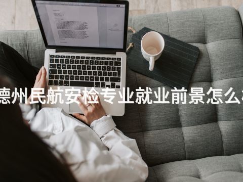 德州民航安检专业就业前景怎么样