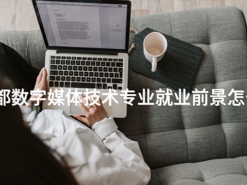 成都数字媒体技术专业就业前景怎么样(图1) 成都数字媒体技术专业就业前景怎么样(图1)
