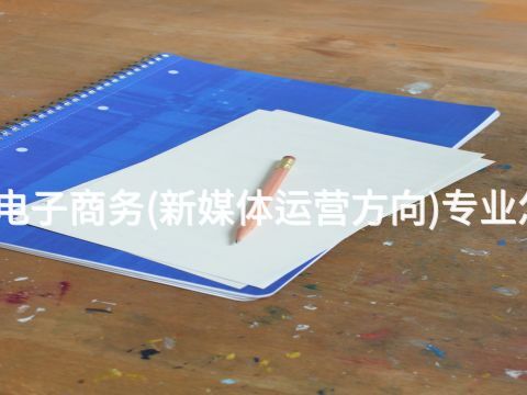 青島電子商務(新媒體運營方向)專業怎么樣