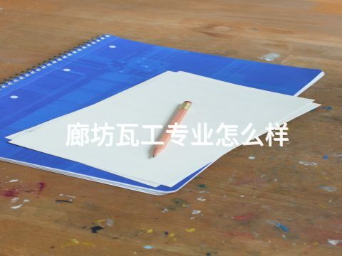 廊坊瓦工专业怎么样