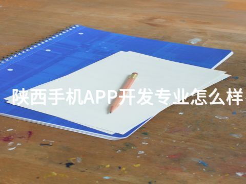 陕西手机APP开发专业怎么样
