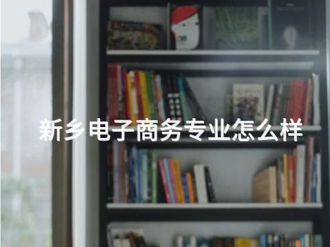 新鄉電子商務專業怎么樣