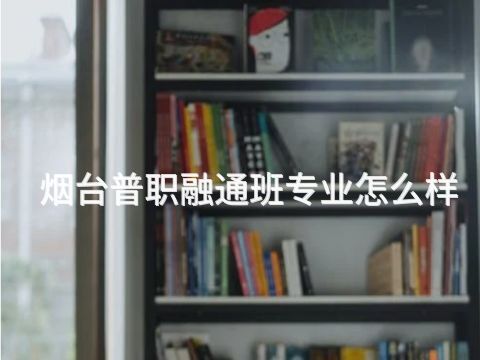 烟台普职融通班专业怎么样