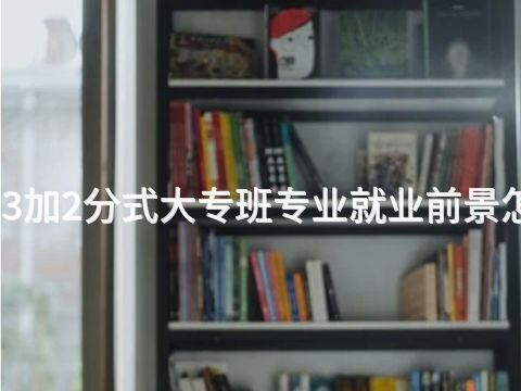 东营3加2分式大专班专业就业前景怎么样