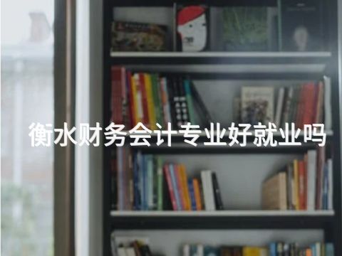 衡水财务会计专业好就业吗