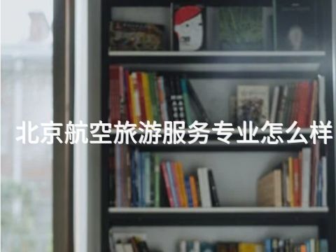 北京航空旅游服务专业怎么样