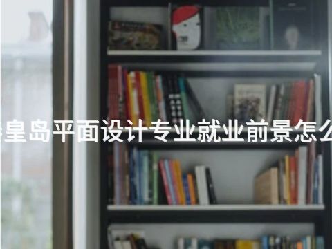 秦皇岛平面设计专业就业前景怎么样