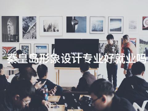 秦皇岛形象设计专业好就业吗