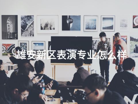 雄安新区表演专业怎么样