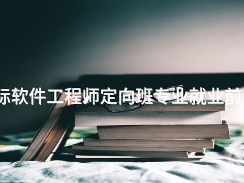 天津國際軟件工程師定向班專業就業前景怎么樣(圖1) 天津國際軟件工程師定向班專業就業前景怎么樣(圖1)