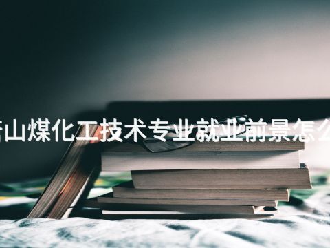 唐山煤化工技术专业就业前景怎么样