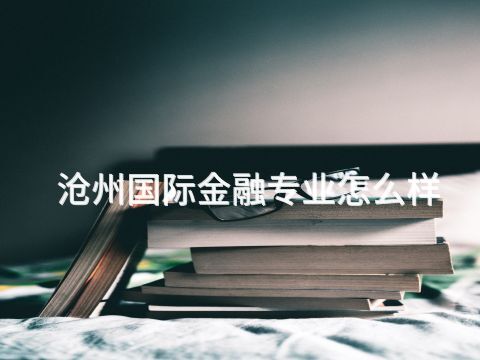 沧州国际金融专业怎么样(图1)
