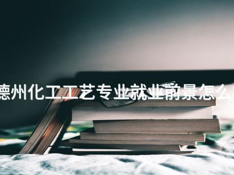 德州化工工艺专业就业前景怎么样
