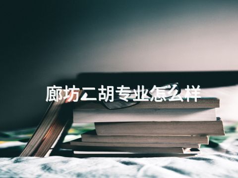 廊坊二胡專業怎么樣(圖1) 廊坊二胡專業怎么樣(圖1)
