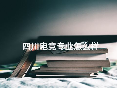 四川电竞专业怎么样(图1) 四川电竞专业怎么样(图1)