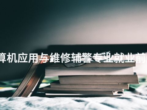 北京计算机应用与维修辅警专业就业前景怎么样